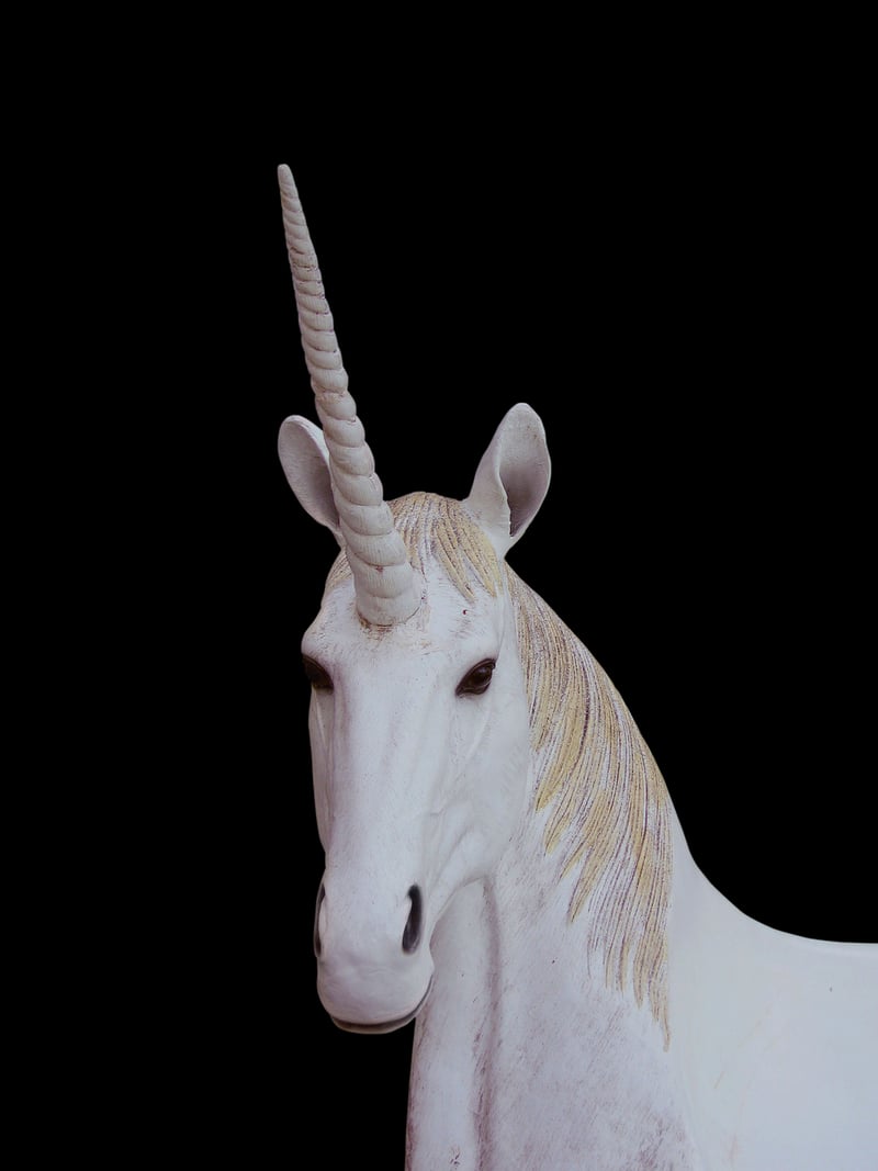 Acrobatic Unicorns